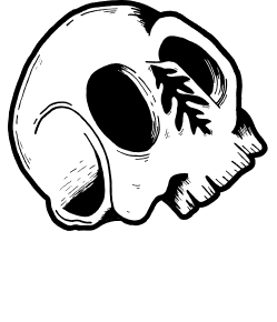 Broad Leaf Local Beer
